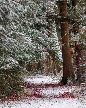 Image post by @cristan.nature.photography on Instagram