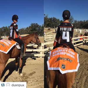 Image post by @anaheimducks on Instagram