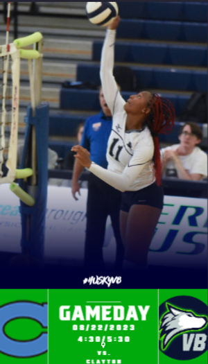 Image post by @HuskyVolleyball on Twitter