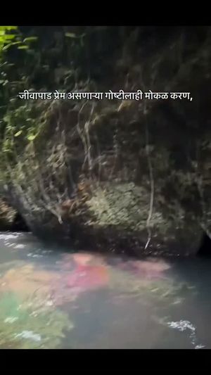 Video post by @vinmakhar on Instagram