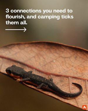 Image post by @hipcamp on Instagram