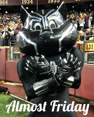 Image post by @goldythegopher on Instagram