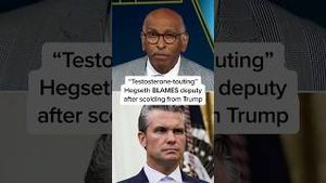 Video post by @msnbc on YouTube