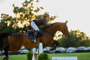 Image post by @kyhorseshows on Instagram