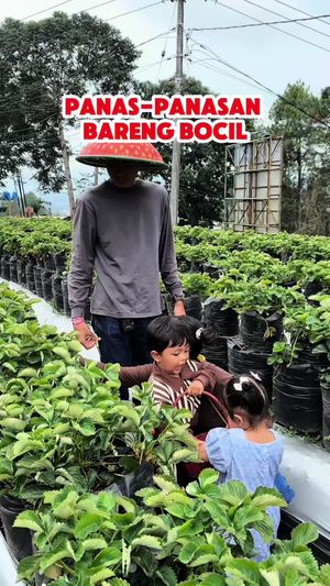 Video post by @luthfy.h20 on TikTok