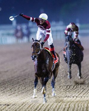 Image post by @thoroughbred_daily_news on Instagram