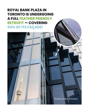 Image post by @featherfriendly on Instagram