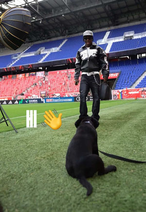 Video post by @redbullnewyork on TikTok