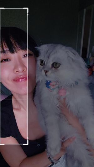 Video post by @xerenite on TikTok