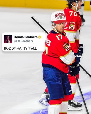 Image post by @flapanthers on Instagram