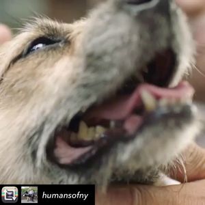 Image post by @jonlopez13 on Instagram
