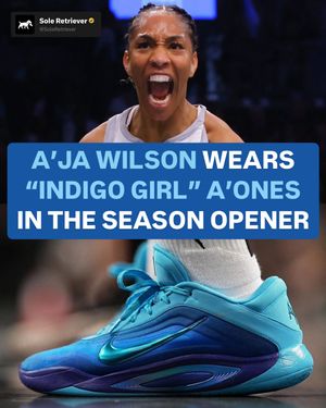 Image post by @soleretriever on Instagram