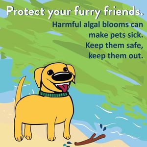 Image post by @mnhealth on Facebook