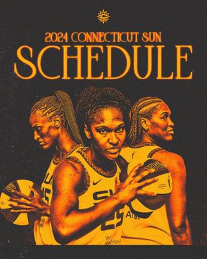 Image post by @ConnecticutSun on Twitter