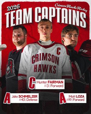 Image post by @iuphockey on Instagram