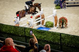 Image post by @theplaidhorsemag on Instagram