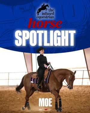 Image post by @smuequestrian on Instagram