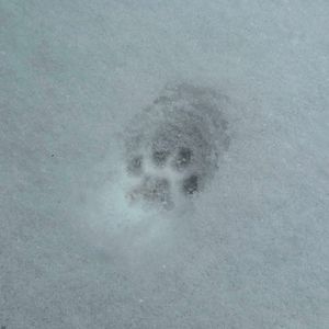 Image post by @grohoskephotography on Instagram