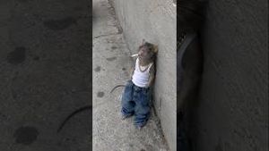 Video post by @aliaboutine on YouTube