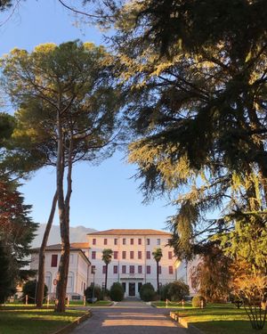 Image post by @cimbaitaly on Instagram