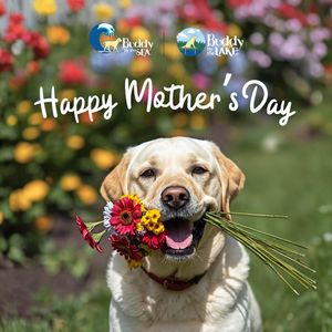 Image post by @shop_buddybythesea on Instagram