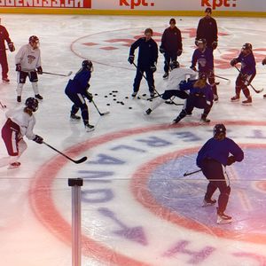 Image post by @leijonatfi on Instagram
