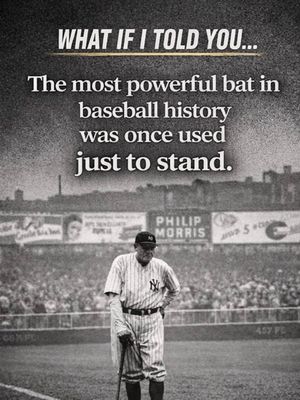 Image post by @netelitebaseball on Instagram