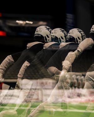 Image post by @jaxsharks on Instagram