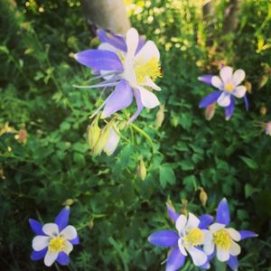 Image post by @vailmtn on Instagram