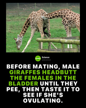 Image post by @science on Instagram