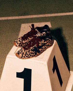 Image post by @goldengoose on Instagram