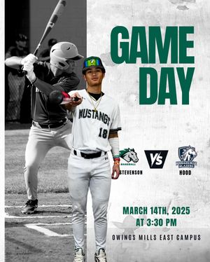 Image post by @stevensonbsb on Instagram