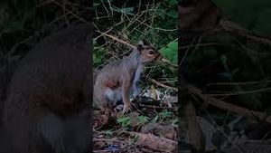 Video post by @evolsoulx on YouTube