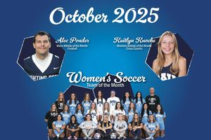 Image post by @saubees on Instagram