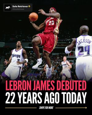 Image post by @soleretriever on Instagram