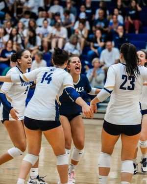 Image post by @raytrykacreative on Instagram