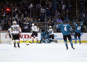 Image post by @sanjosesharks on Instagram
