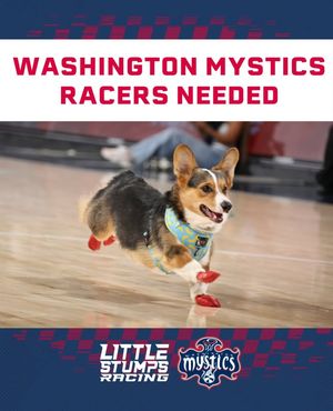 Image post by @littlestumpsracing1 on Facebook