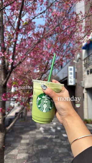 Video post by @myachuntao on TikTok