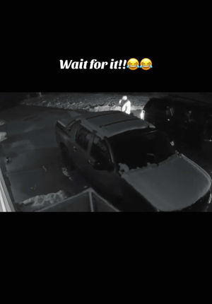Video post by @thepuigfamily on TikTok