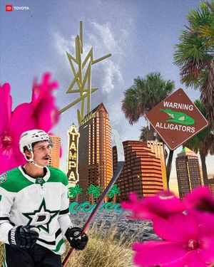 Image post by @dallasstars on Instagram