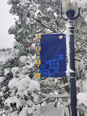 Image post by @hofstrau on Instagram