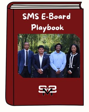 Image post by @sms__sthm on Instagram