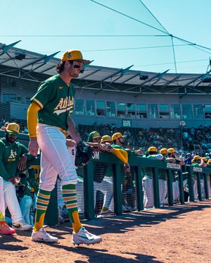 Image post by @thecactusleague on Instagram