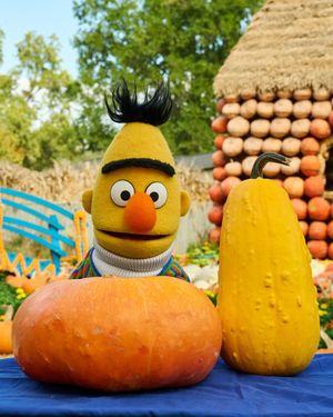 Image post by @sesamestreet on Instagram