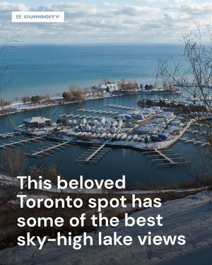Image post by @curiocitytoronto on Instagram