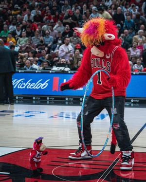 Image post by @bennythebull on Instagram