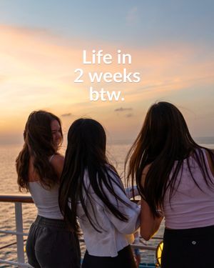 Image post by @semesteratsea on Instagram