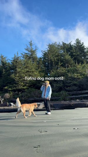 Video post by @frothyblonde on TikTok