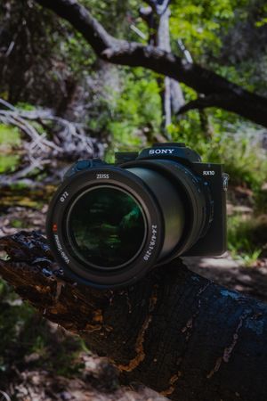 Video post by @sonyalpha on TikTok
